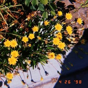 Meet your Posher, Angela